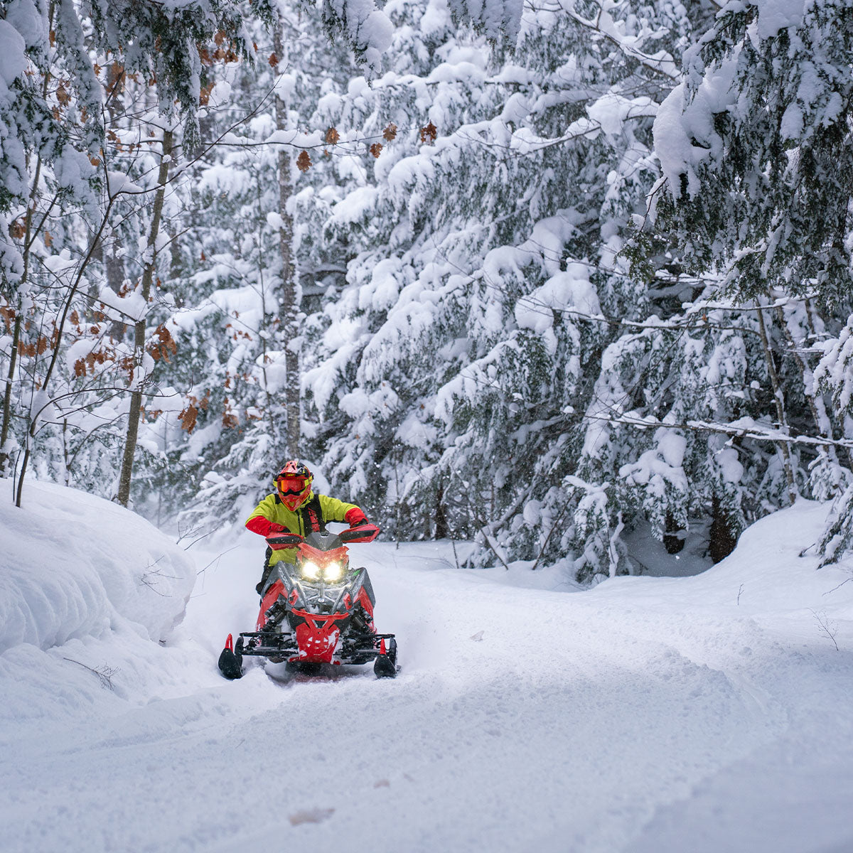 Allied Insulated Jacket