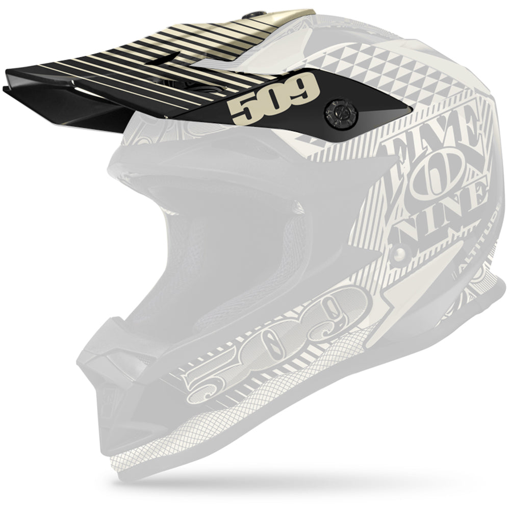 Visor for Altitude Helmets