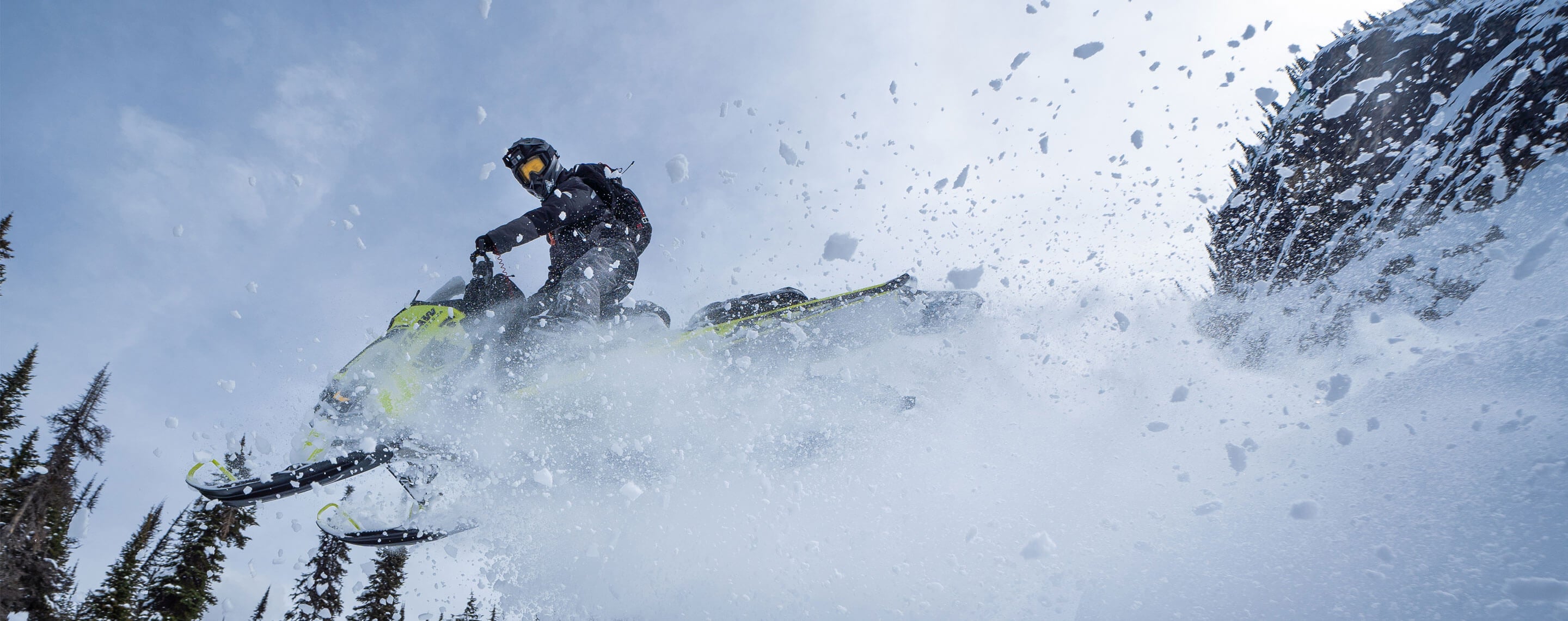 509 Ross's Favorites Collection