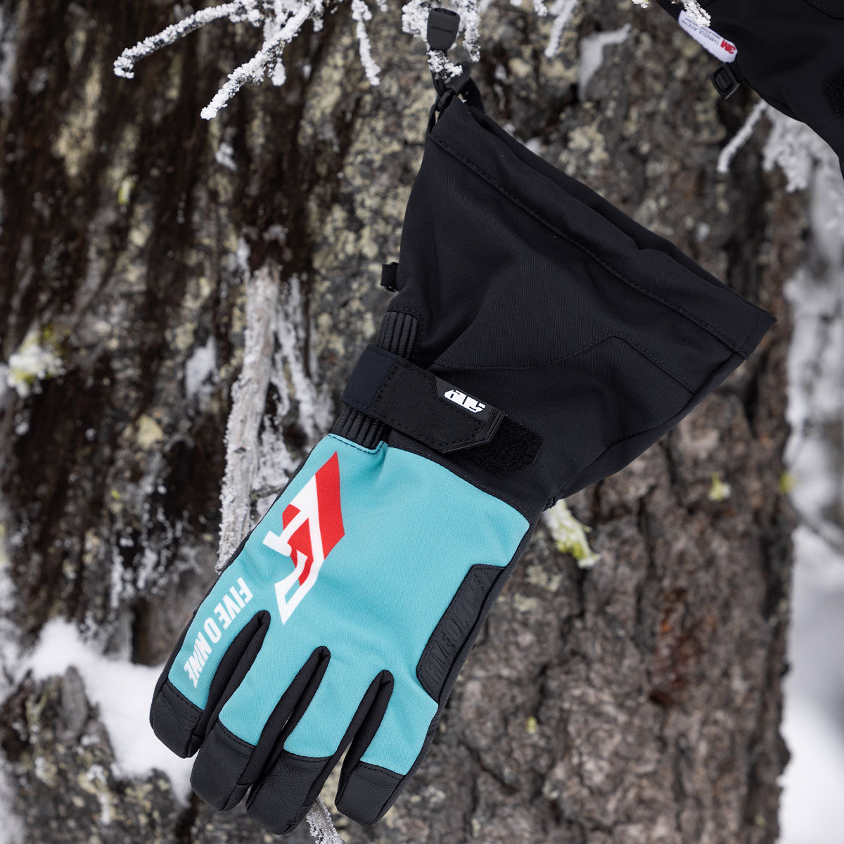 Backcountry Gloves