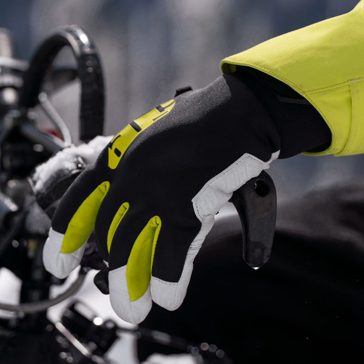 Freeride Gloves